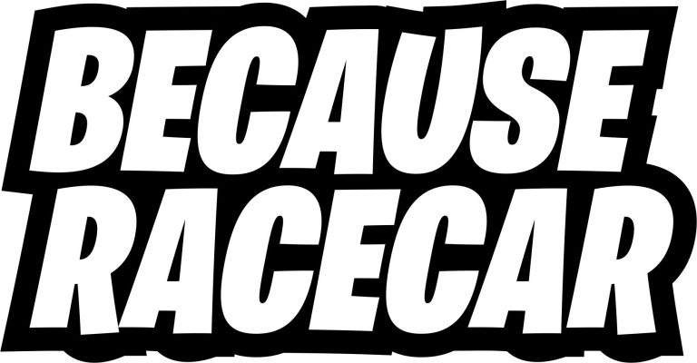 AVTO NALEPKA - BECAUSE RACE RACE
