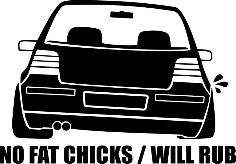 AVTO NALEPKA - NO FAT CHICKS