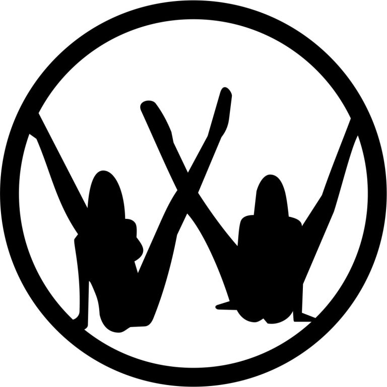 AVTO NALEPKA - VW GIRLS