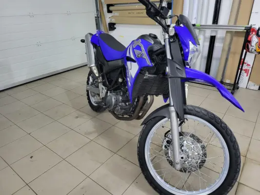 MX, moto ali vodni šport — grafika Insane Design